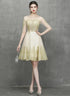 Champagne Knee Length Tulle with Lace Party Dress, Short Homecoming Dress