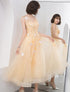 Lovely Champapgne Tulle Tea Length Party Dress with Butterfly, Cute Short Homecoming Dress